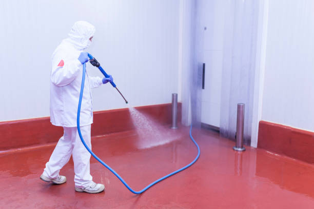 Best Roof Washing  in Fultonde, AL